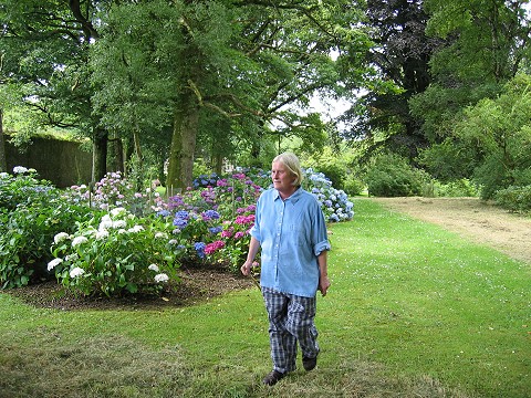 Merrie walking by the hydrangeas up the rock