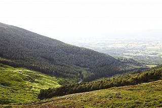 Hiking at the Vee in the Knockmealdowns