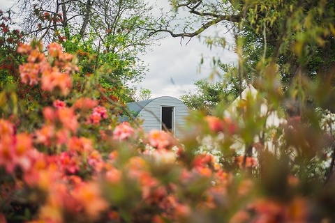 The Glamping Pig Ark