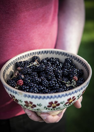Ballyvolane foraged blackberries