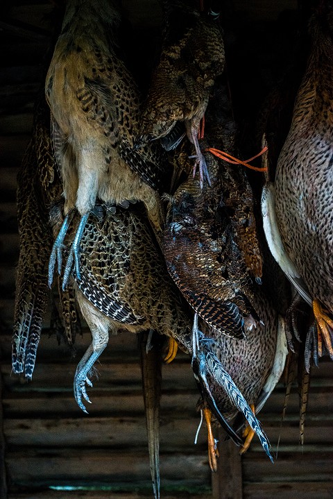 The days bag hanging in the game larder