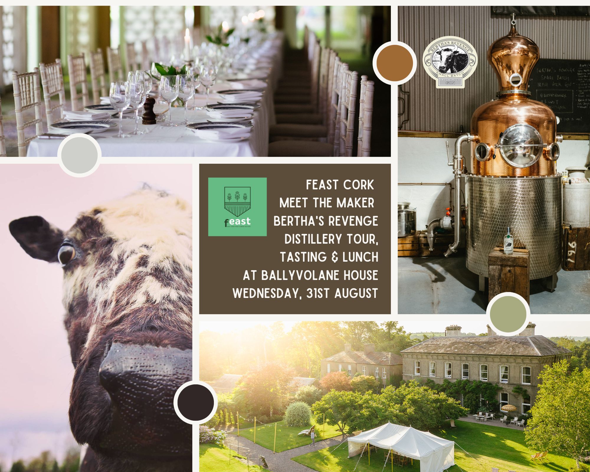 fEast Cork ‘Meet the Maker’ Bertha’s Revenge Gin Distillery Tour