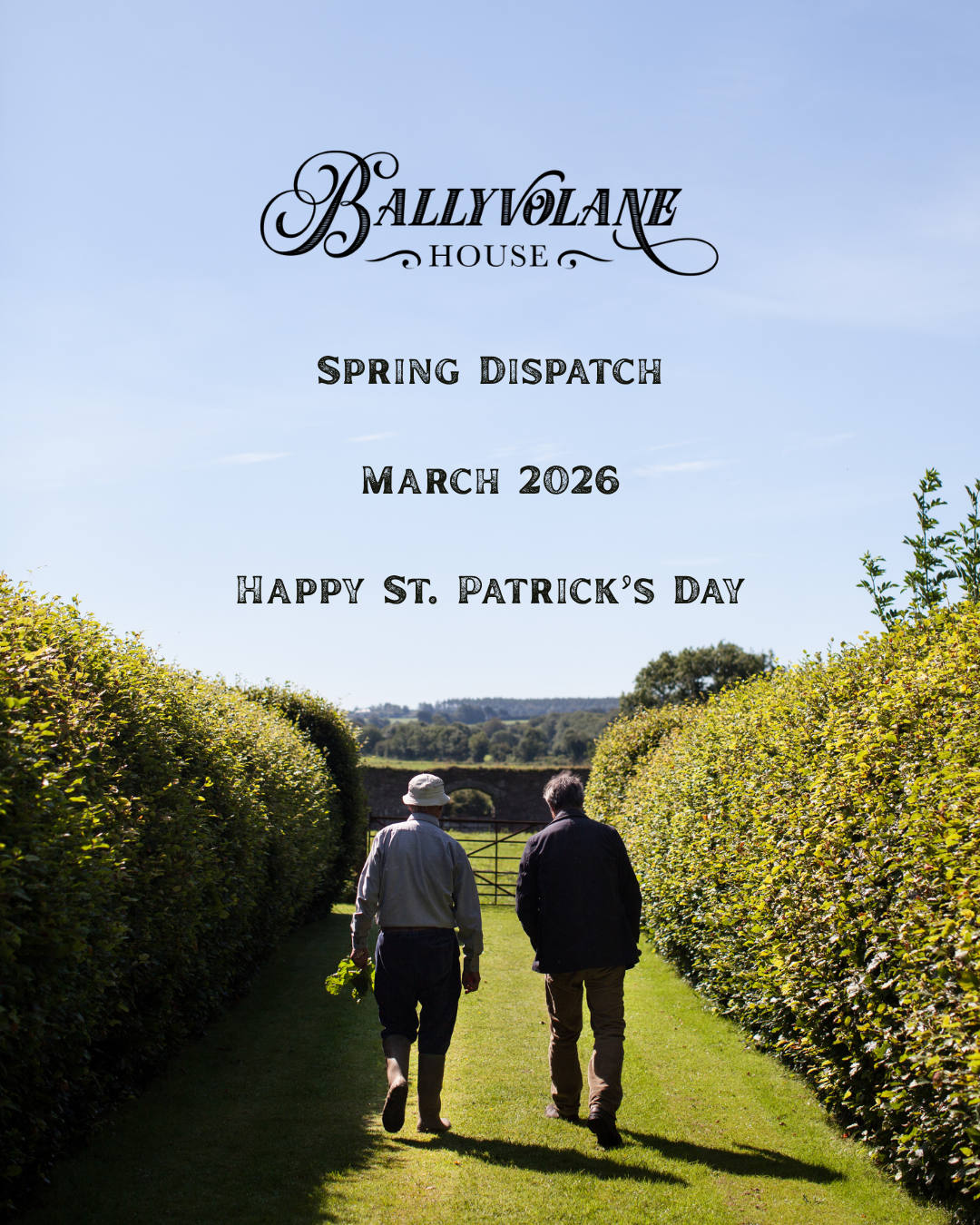 Ballyvolane House Spring Dispatch 2026